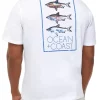 Discount 😀 Ocean + Coast® Big & Tall White Fish Graphic T-Shirt 🧨